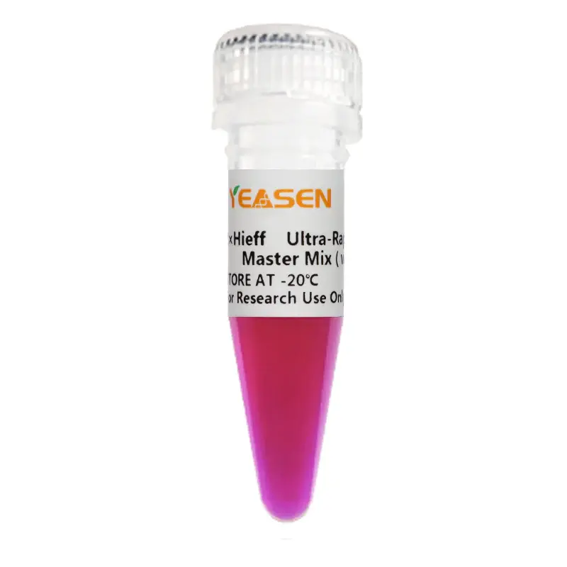 2×Hieff PCR Master Mix  With Dye  size: 1 mL