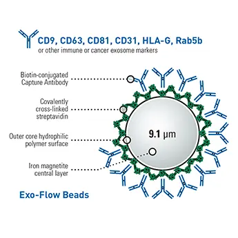 CD63 Exo-Flow Capture Kit