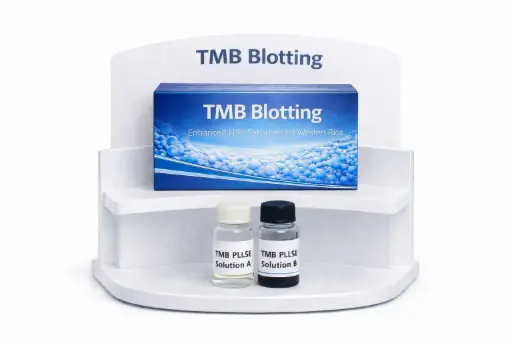 [4450A] TMB Blotting