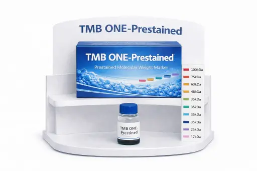 [4430A] TMB ONE-Prestained